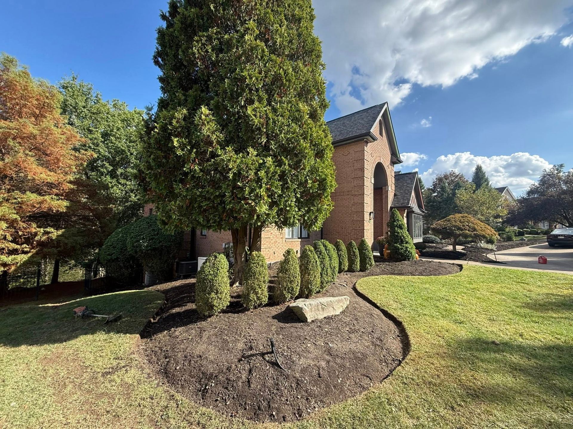 Shrub & Tree Trimming